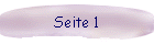 Seite 1